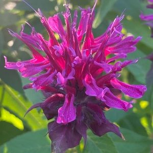 For Eva B @kittyrunrun